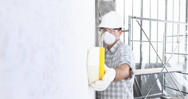 Best Mold Removal for HVAC Installations  in Thoreau, NM