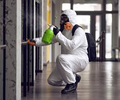 Best Biohazard Mold Removal  in Thoreau, NM